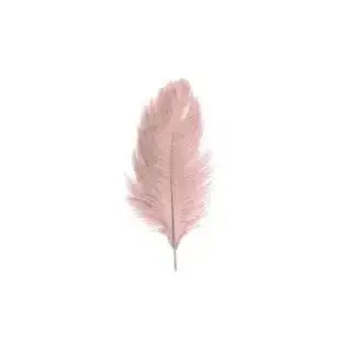 Photo de couverture de leaaa44