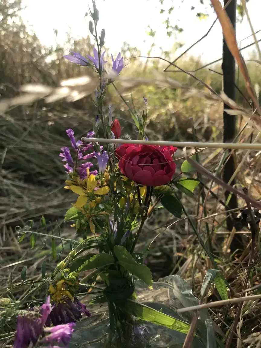 J’aime aussi les fleurs, et la douceur …