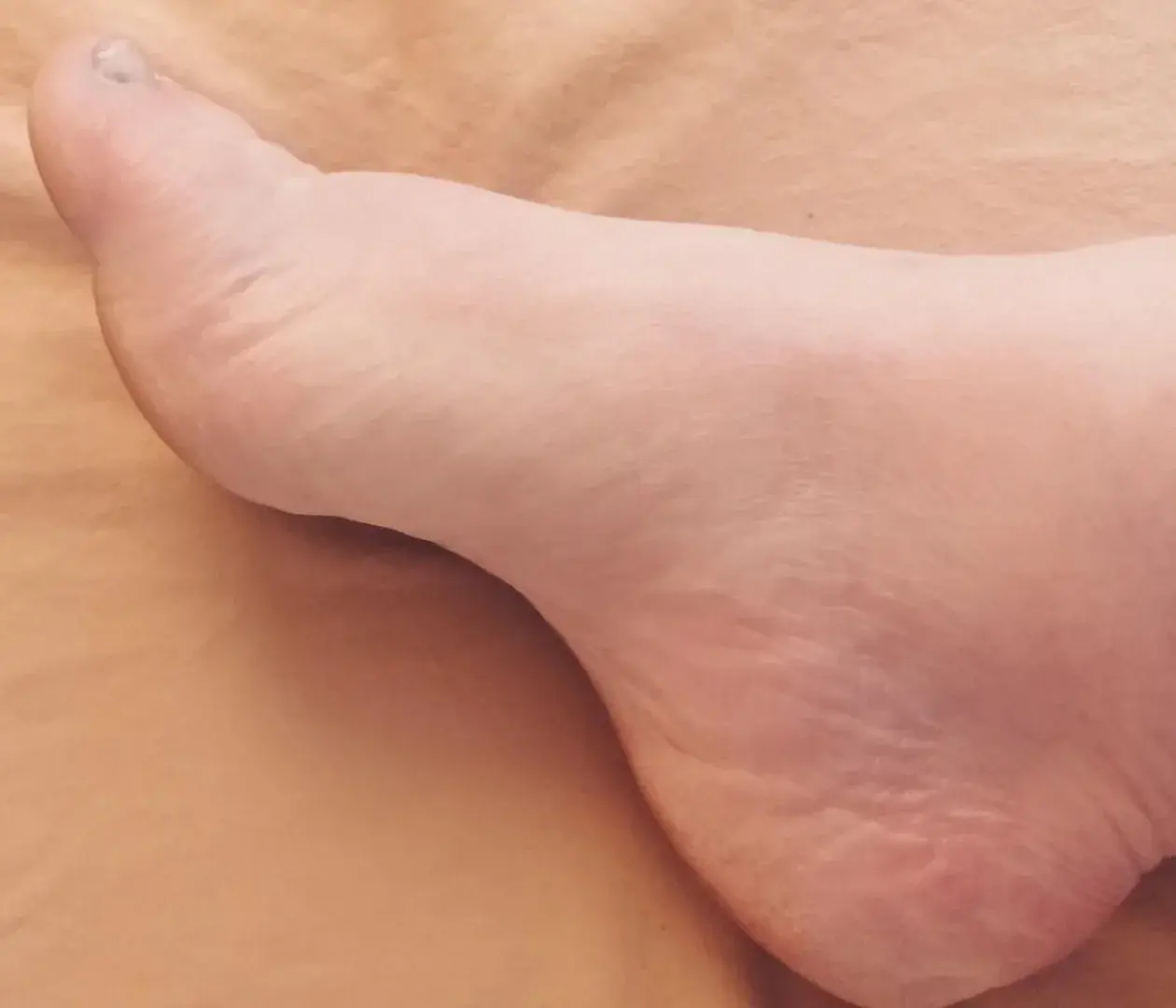 Photo de couverture de Modelepetitpetonsainsiquediversendroitdemoncorps