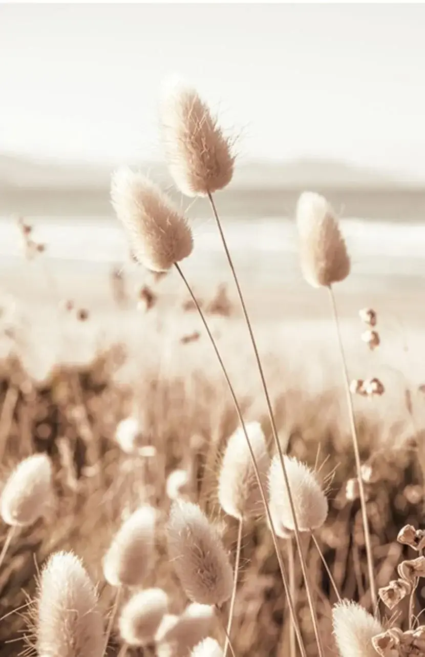 Photo de couverture de Lennaick