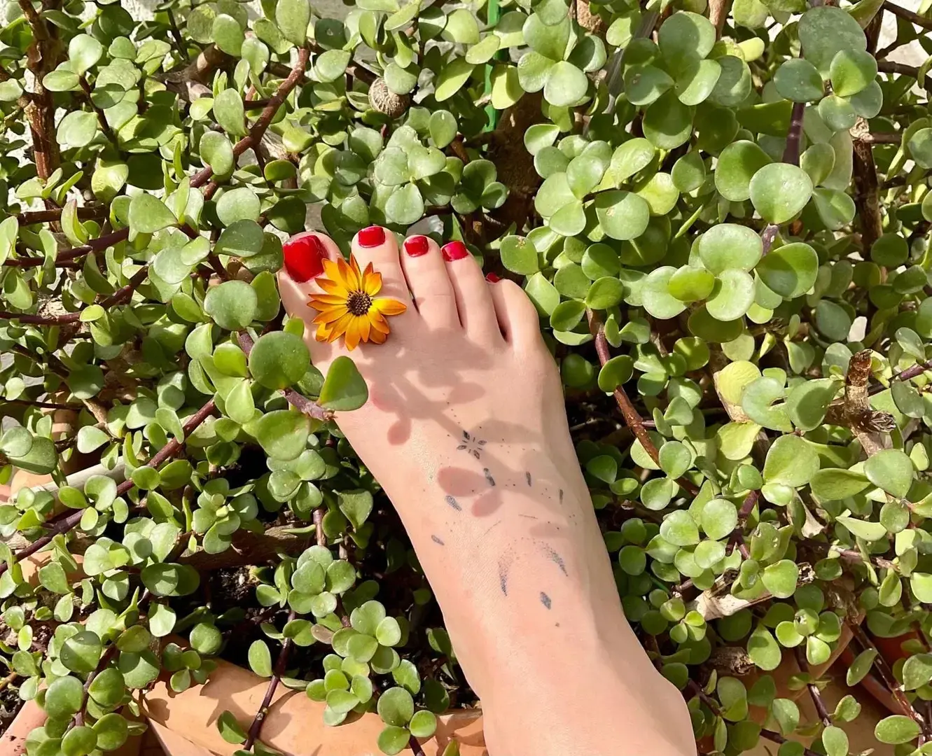 Leak & nude 2 — Nathaliejolie