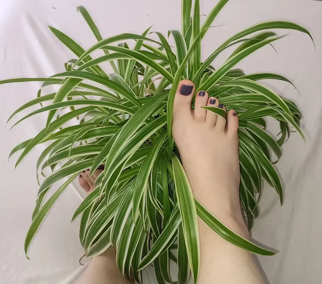 Leak & nude 3 — On_tiptoes