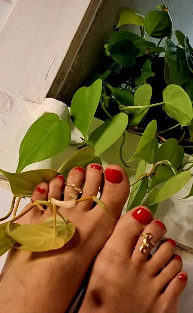Photo de couverture de junglefeet_ch