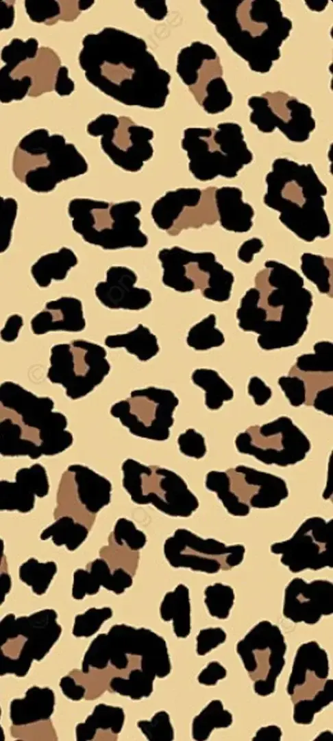 Photo de couverture de Fetiboo