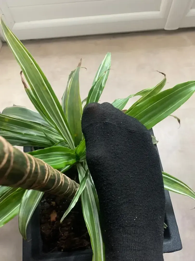 Leak & nude 1 — Feetonly450