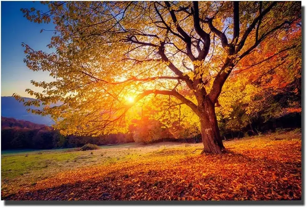 Photo de couverture de Bellisne