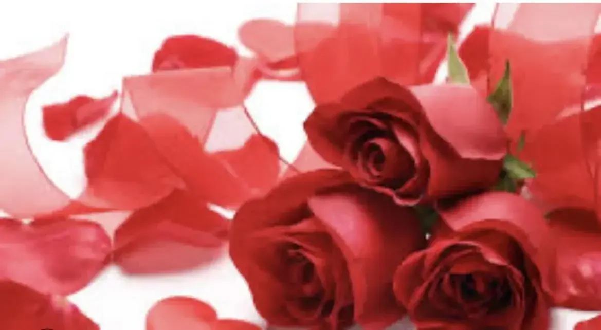Photo de couverture de Manon170_