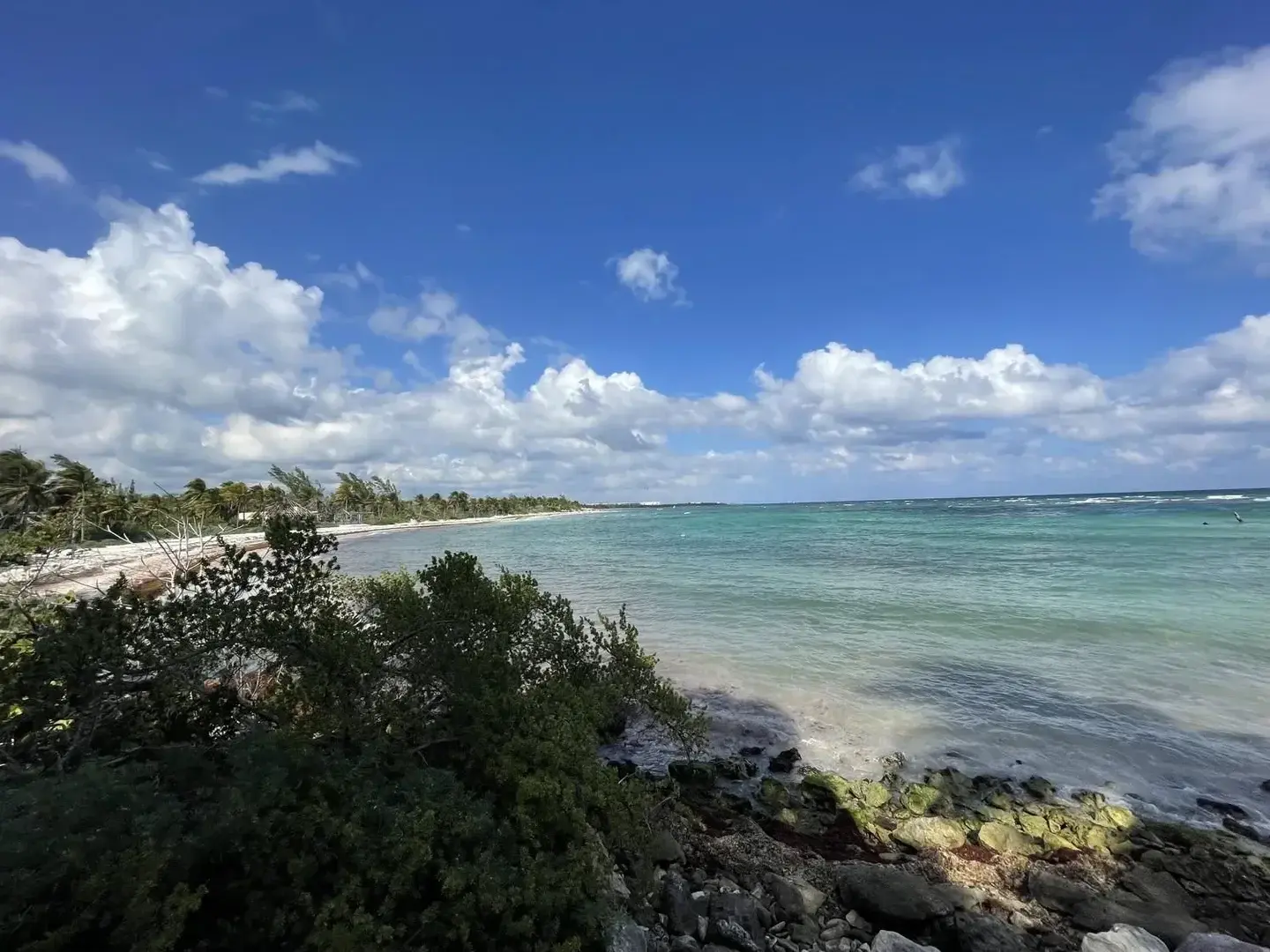 Photo de couverture de Nauticaa