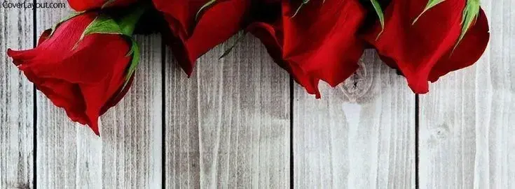Photo de couverture de Petitspetonssexy