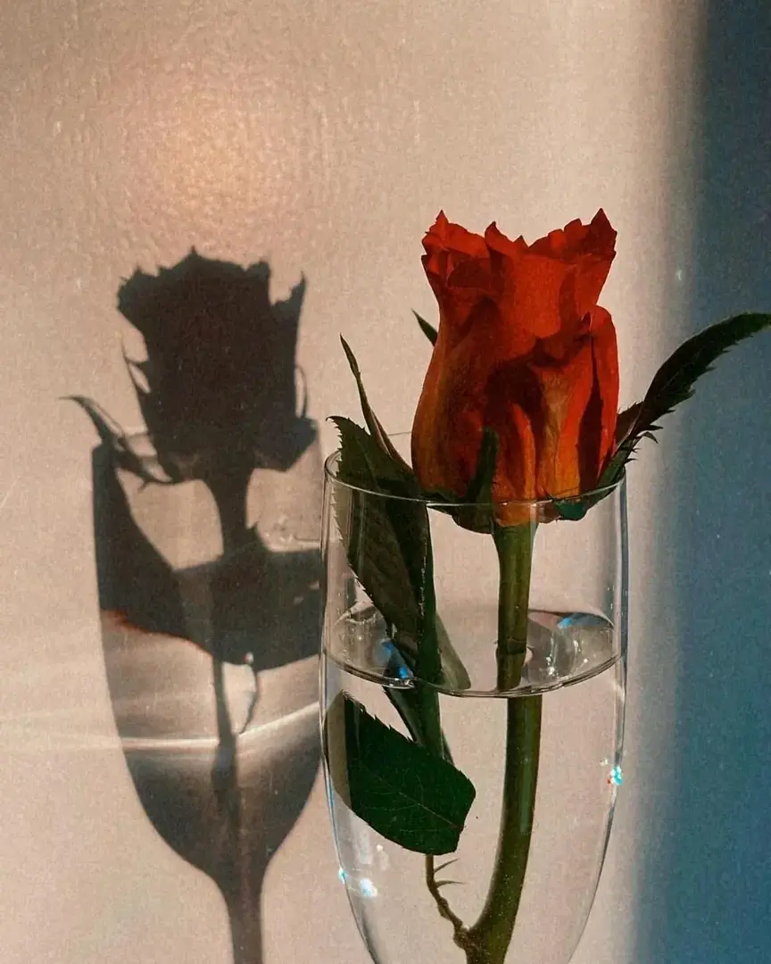 Leak & nude 2 — Chuchiitoxica