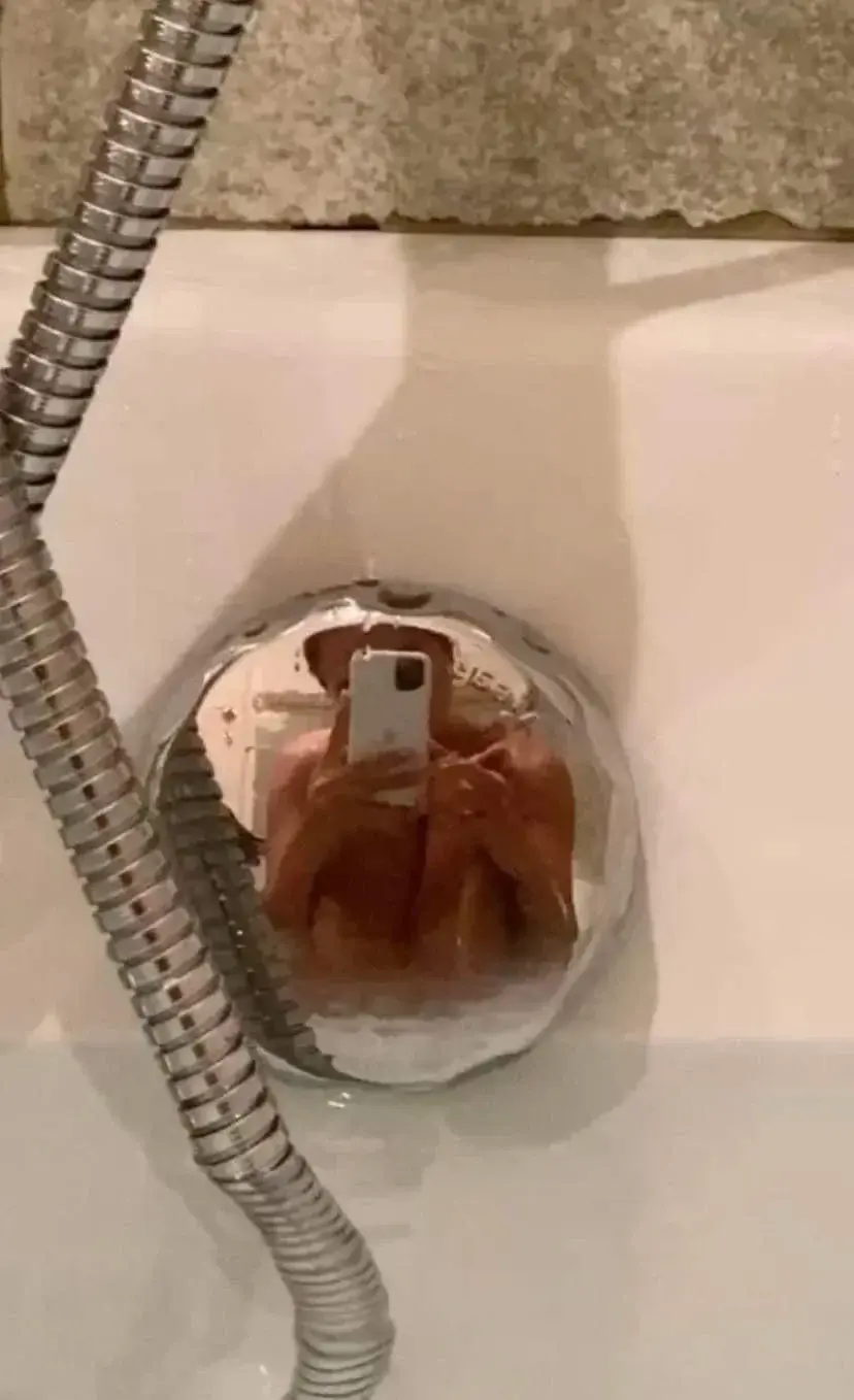Leak & nude 3 — Papillon_bs