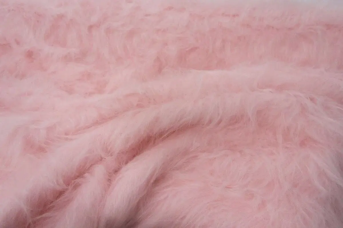 Photo de couverture de Monicafernandez