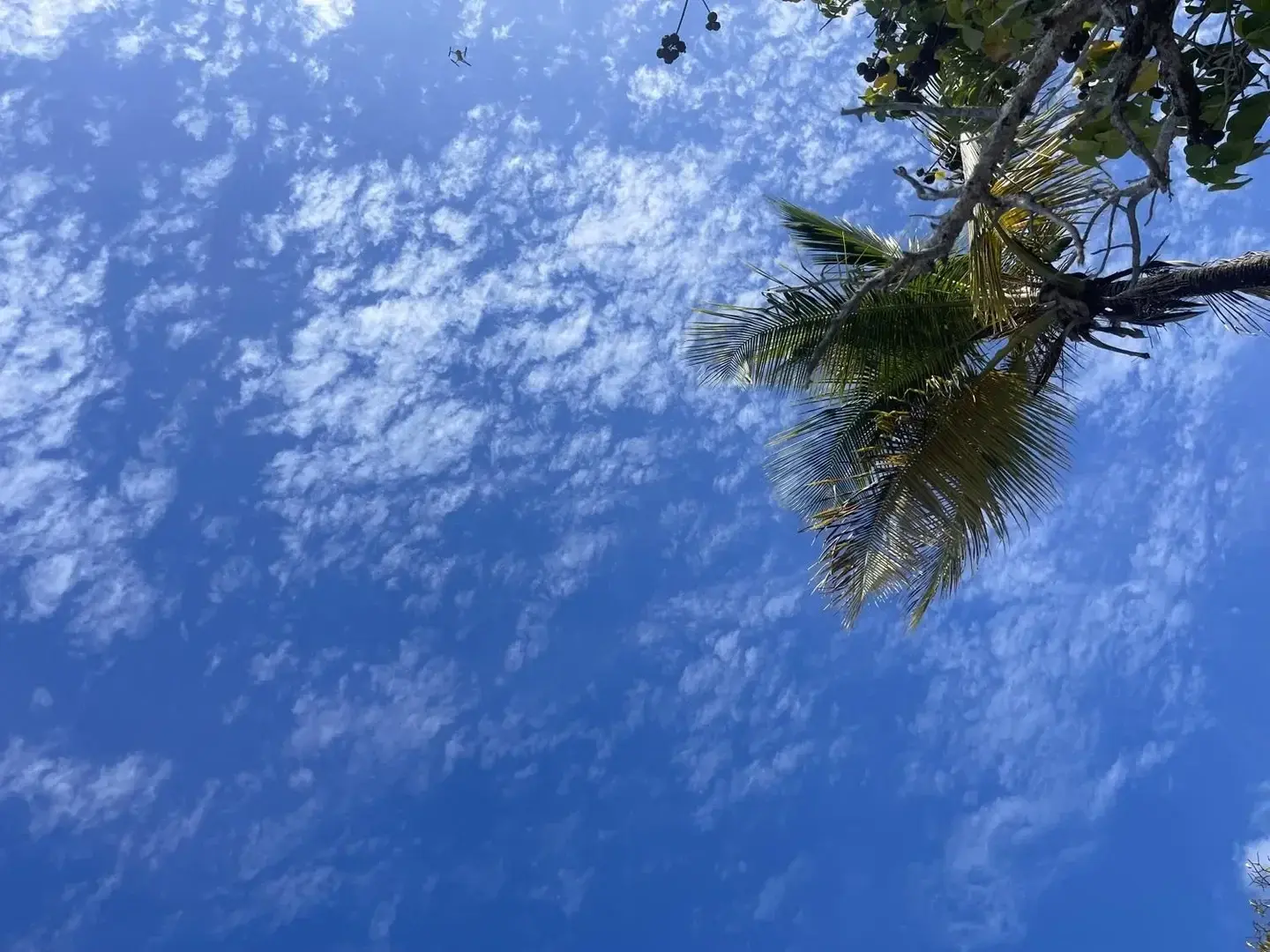 Photo de couverture de Shengen