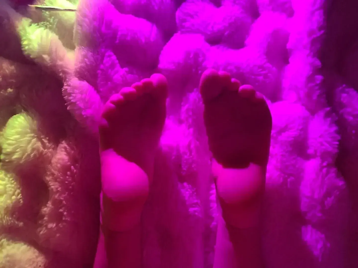 Leak & nude 2 — Mistressfeetfr
