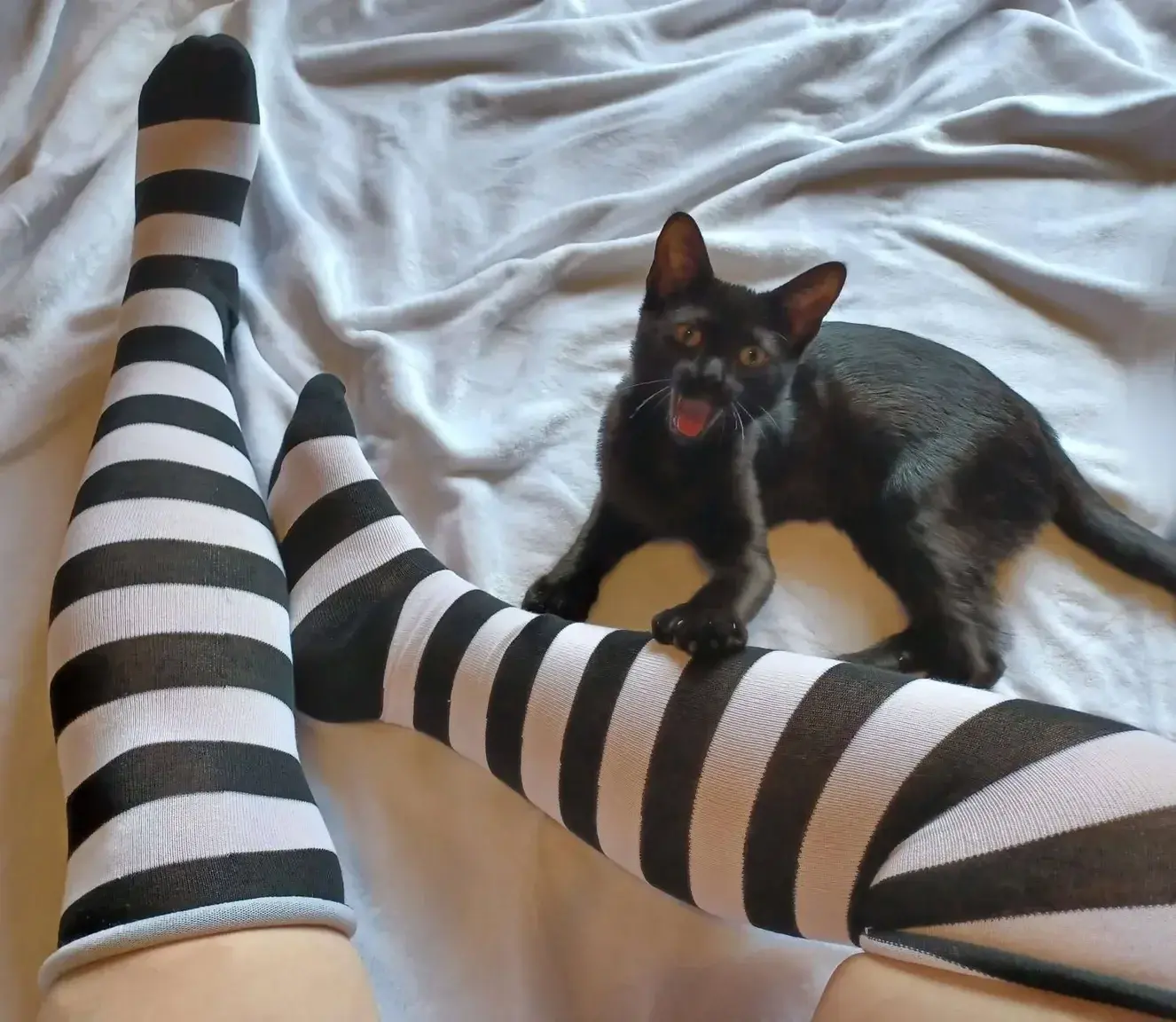 Leak & nude 1 — Zieltwitch