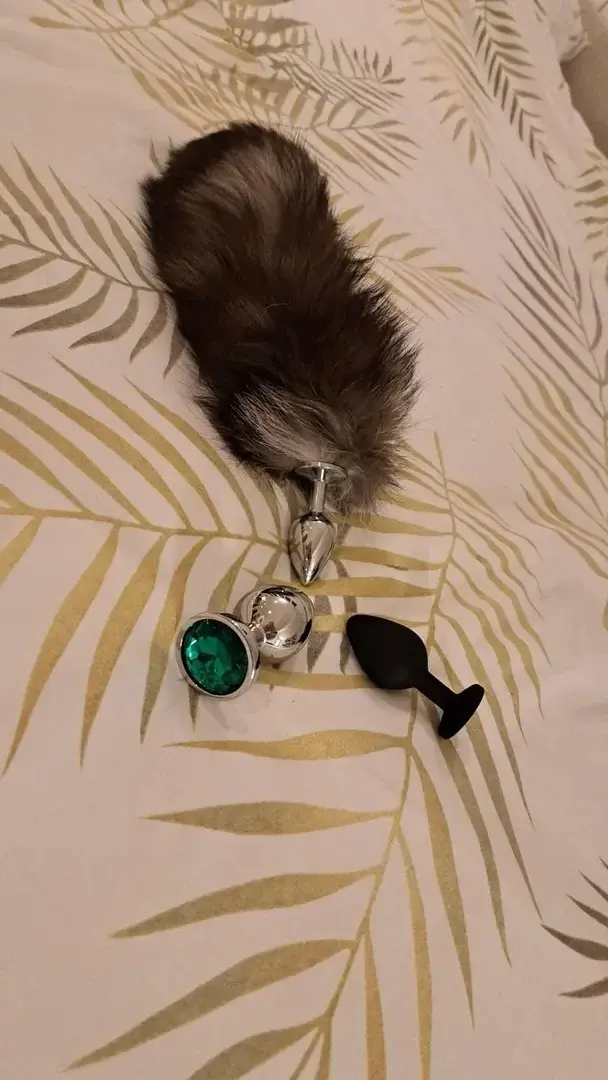 Des nouveaux 🤪Ça mérite bien un petit cliché#plug#anal