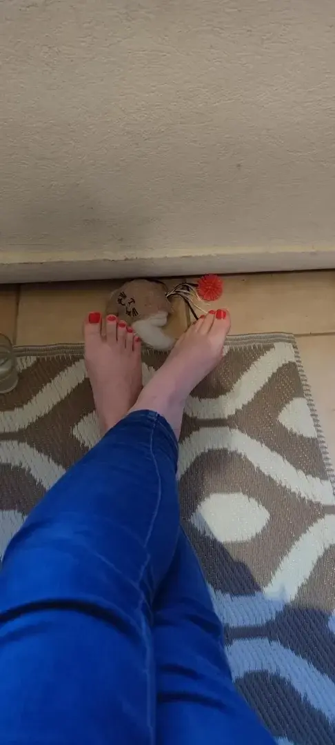 Leak & nude 3 — Chipieds