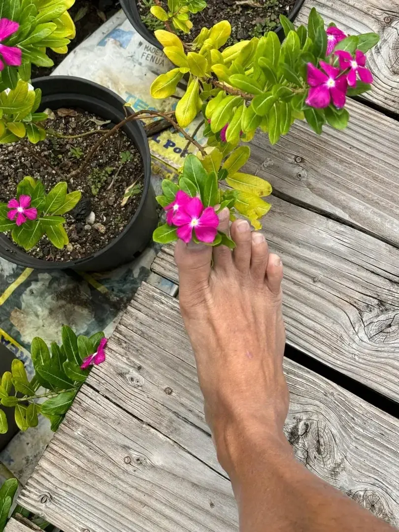 Leak & nude 3 — Tahiti_life_cuisine_feet