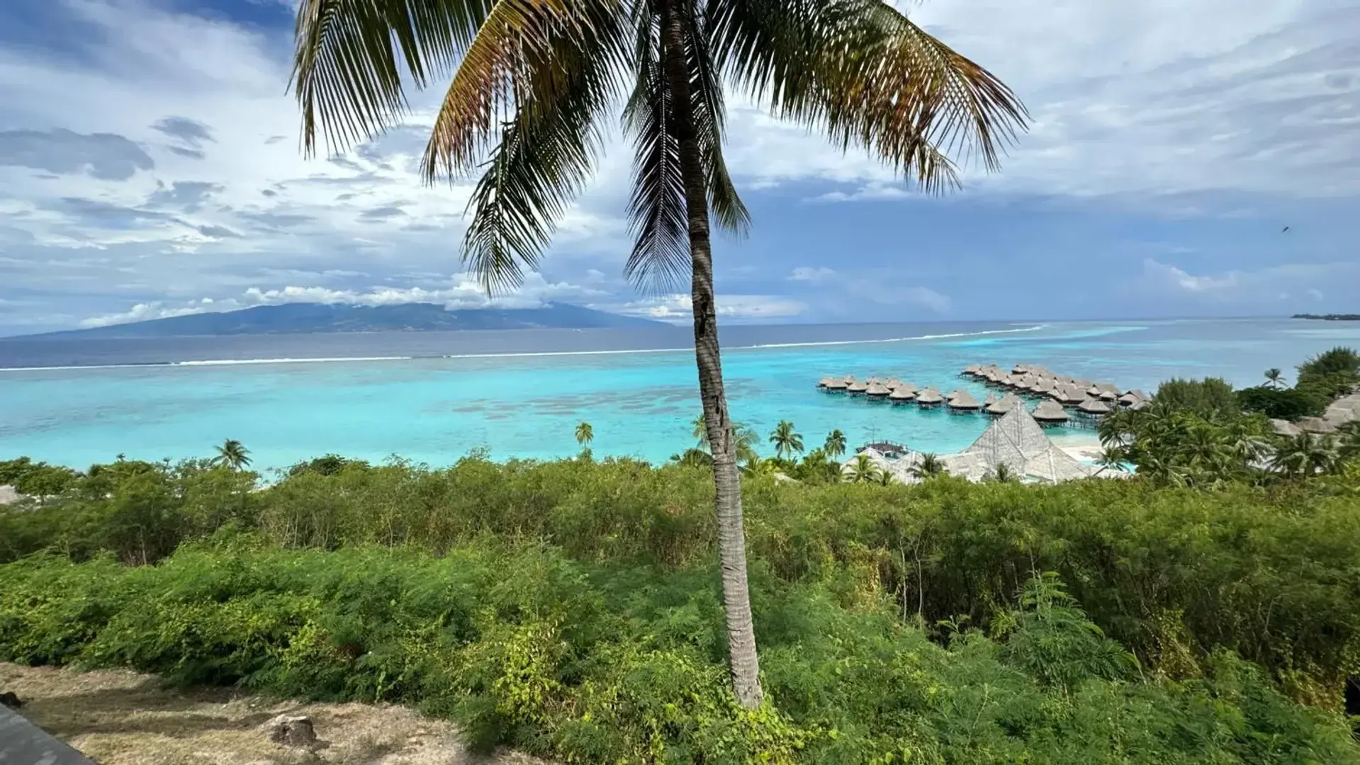 Photo de couverture de Tahiti_life_cuisine_feet