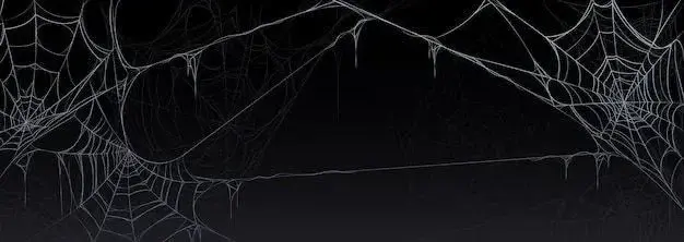 Photo de couverture de Aspheax