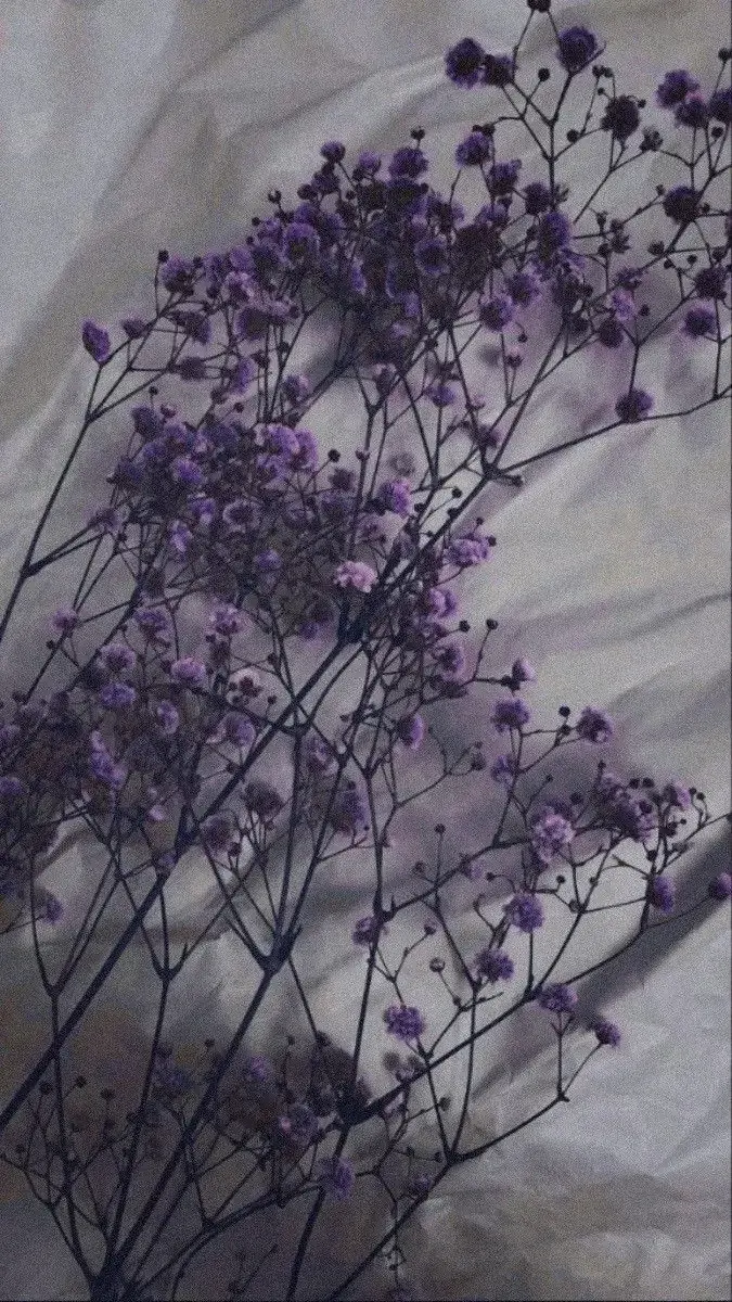 Leak & nude 1 — Purpleorchid