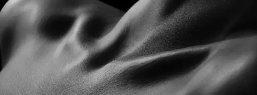 Photo de couverture de lessecretsdemeli