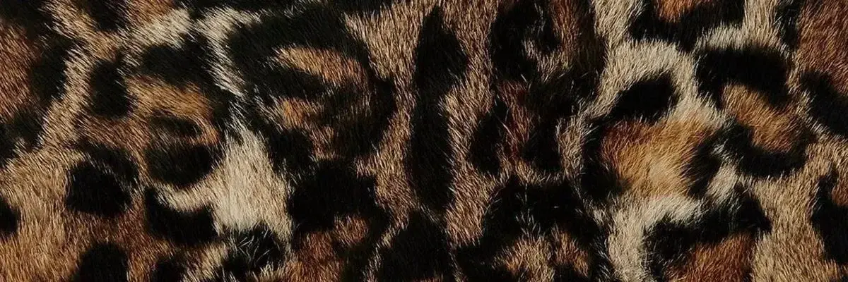 Photo de couverture de Angelsfootprint9