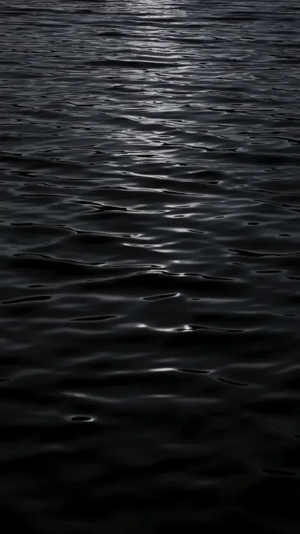 Photo de couverture de ObsidianFeet