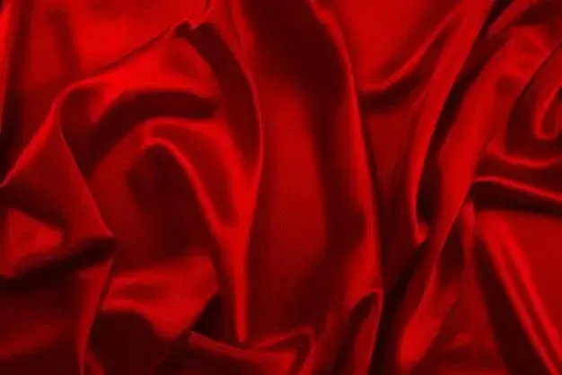 Photo de couverture de estherwood