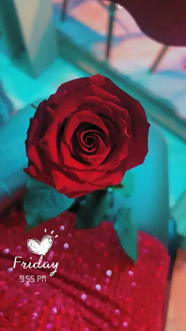 Photo de couverture de Je28
