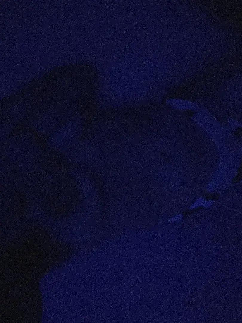 Leak & nude 1 — Campagnelove