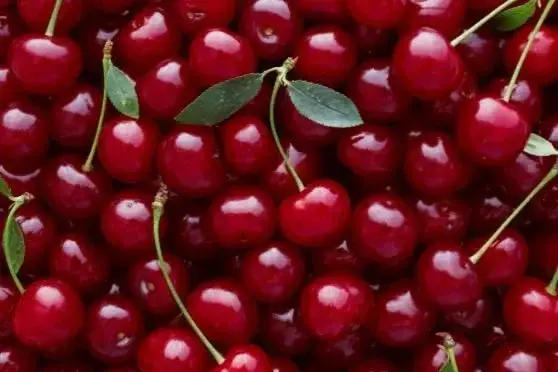 Photo de couverture de Cherryredsquare
