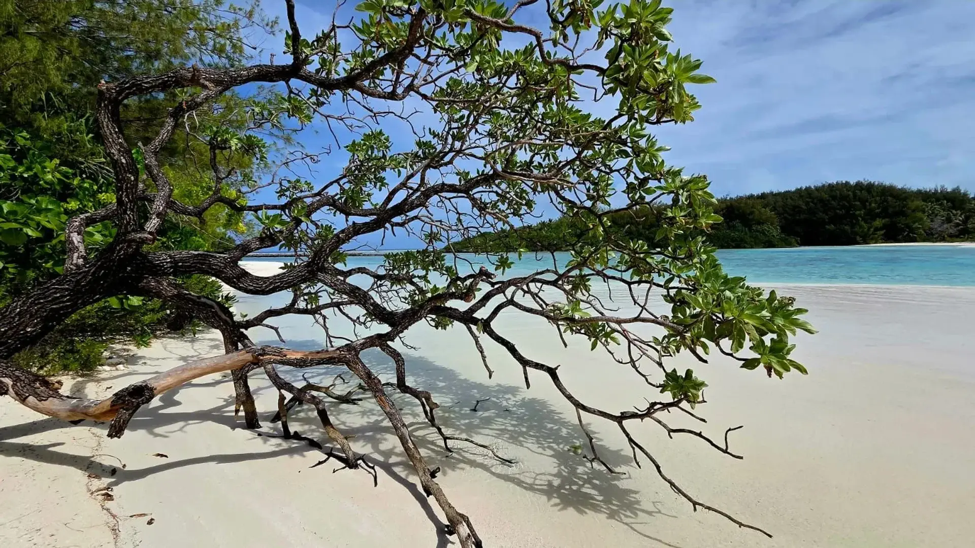 Photo de couverture de miritahiti