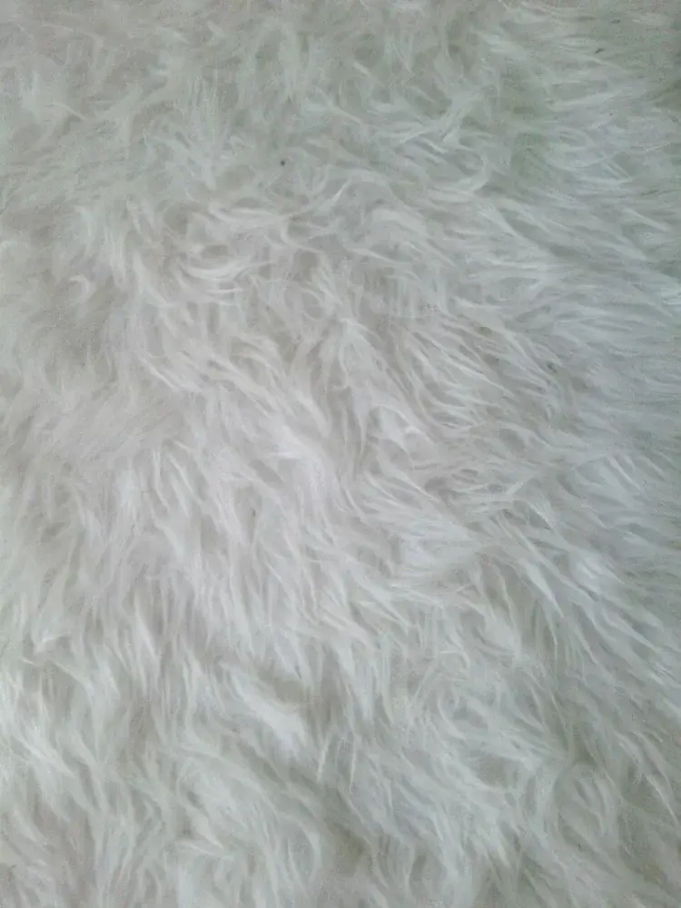 Photo de couverture de mybeautyfullpied