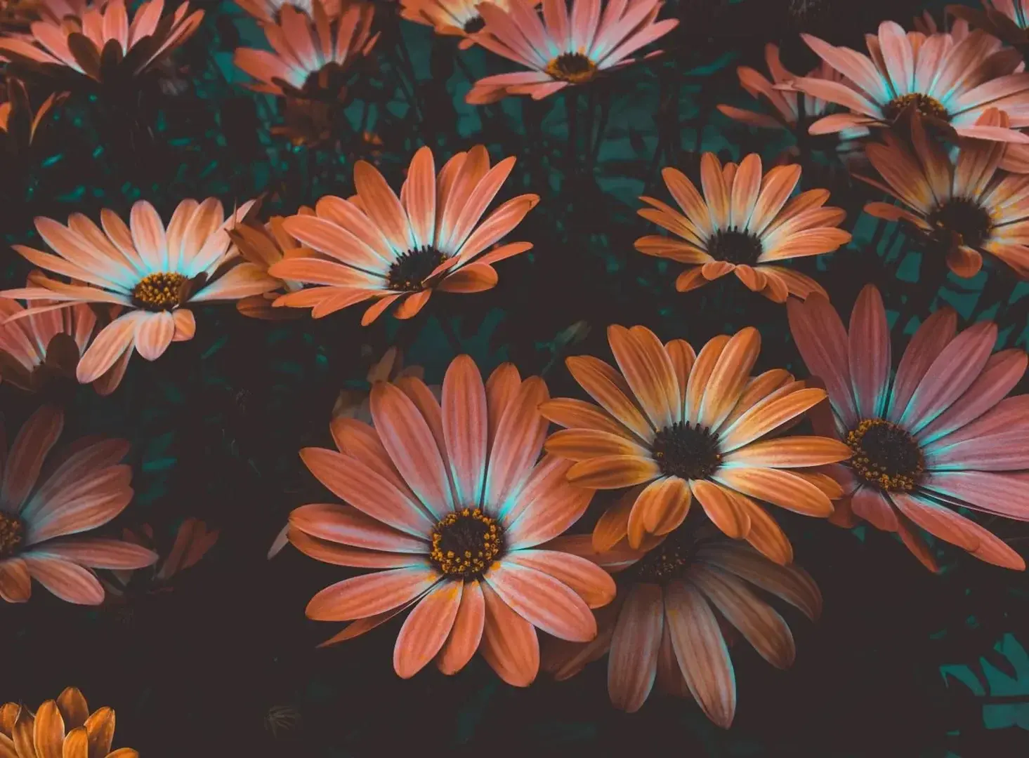 Photo de couverture de xxbabe28xx