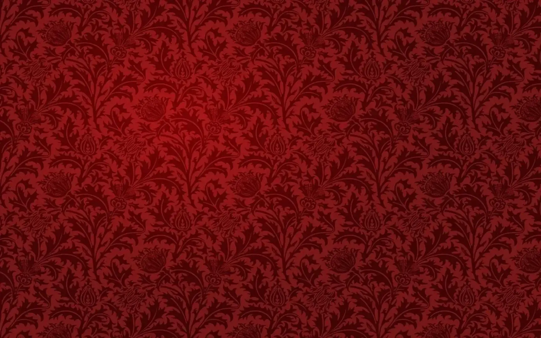 Photo de couverture de Seraphina