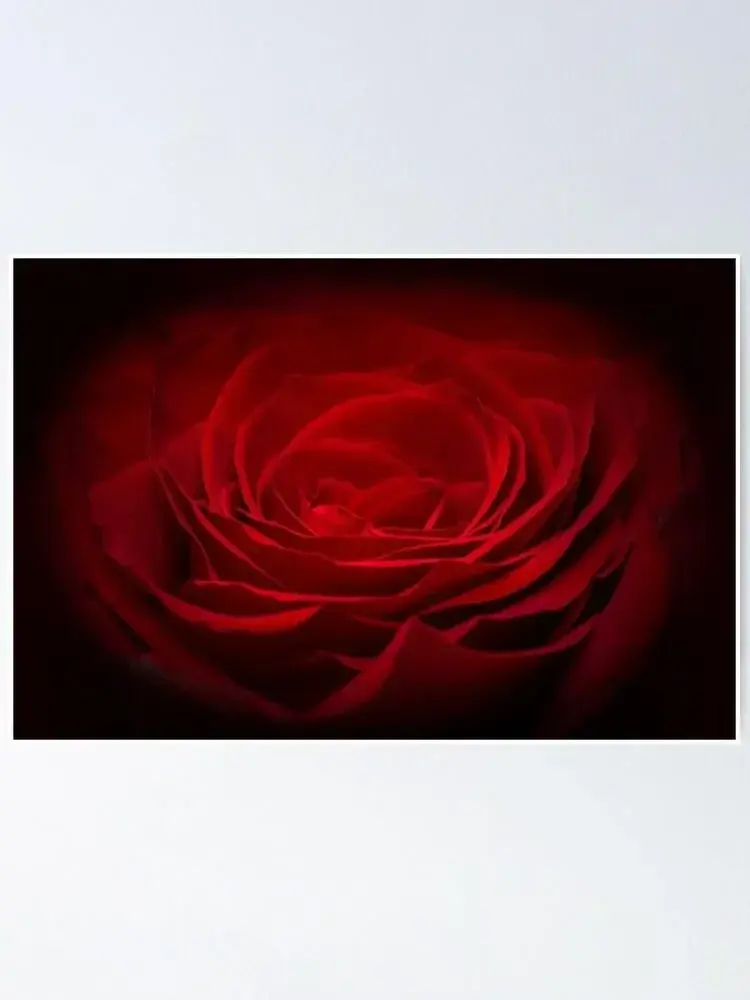 Photo de couverture de rougenoir17