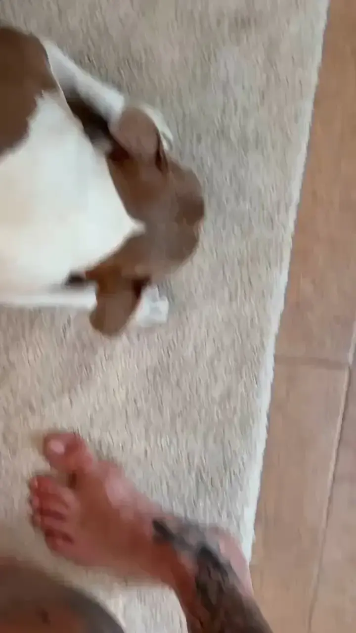 Mein Hund und ich wünschen euch einen schönen Freitag 😂❤️