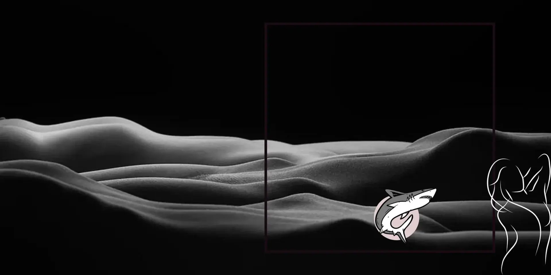 Photo de couverture de Bigshark