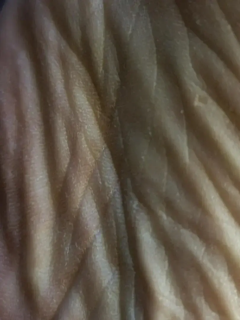 Leak & nude 6 — Faith_apatow