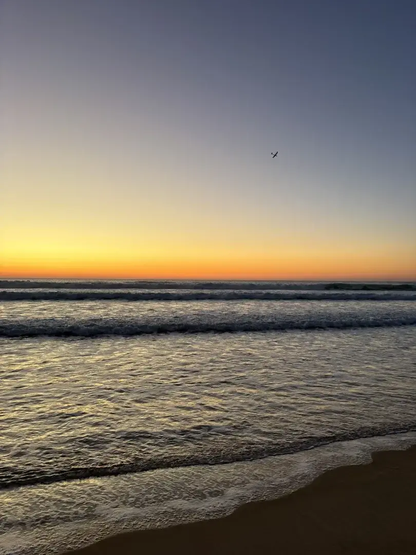 Photo de couverture de Anoukh