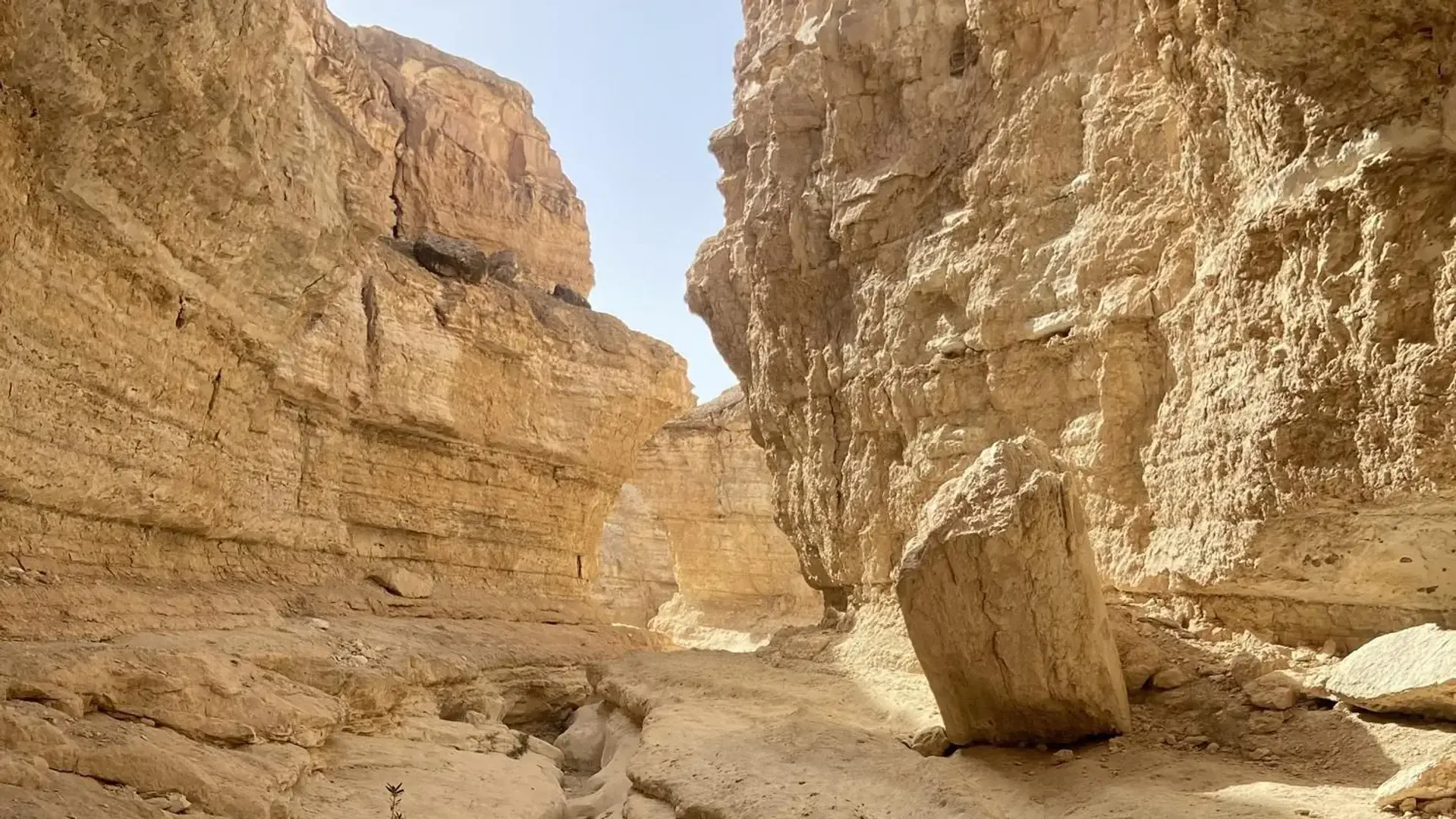 Photo de couverture de Clementineee